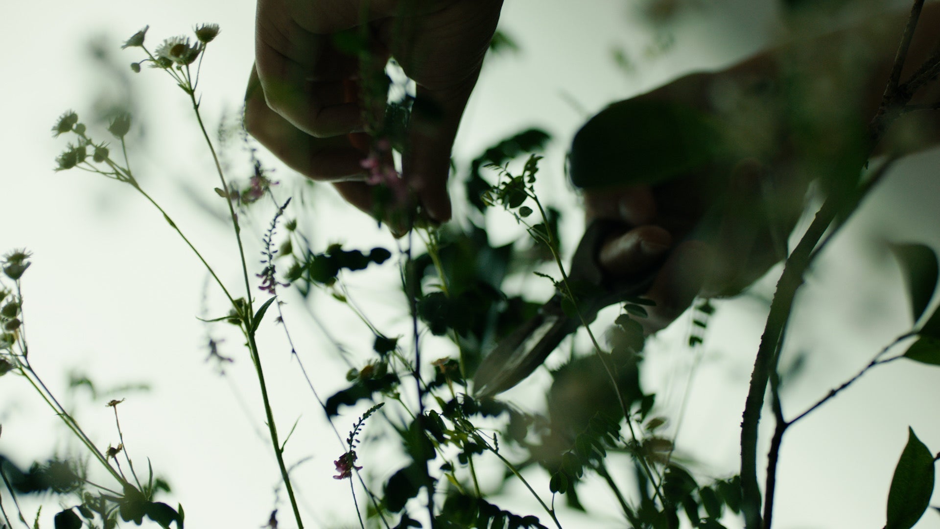 Visiting | Wu Jingwen
