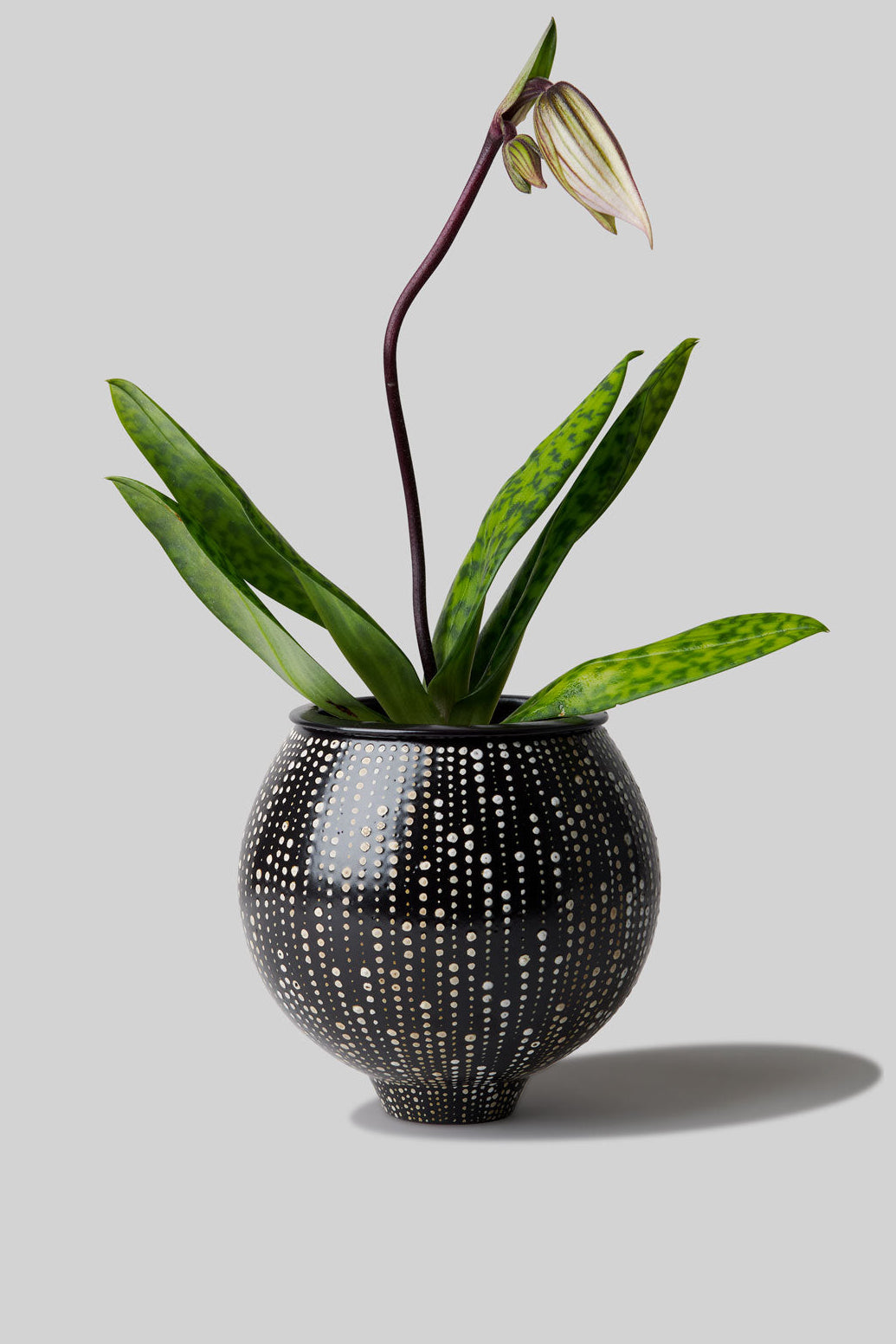 Xuan Ceramic Kensui Vessel - Aether