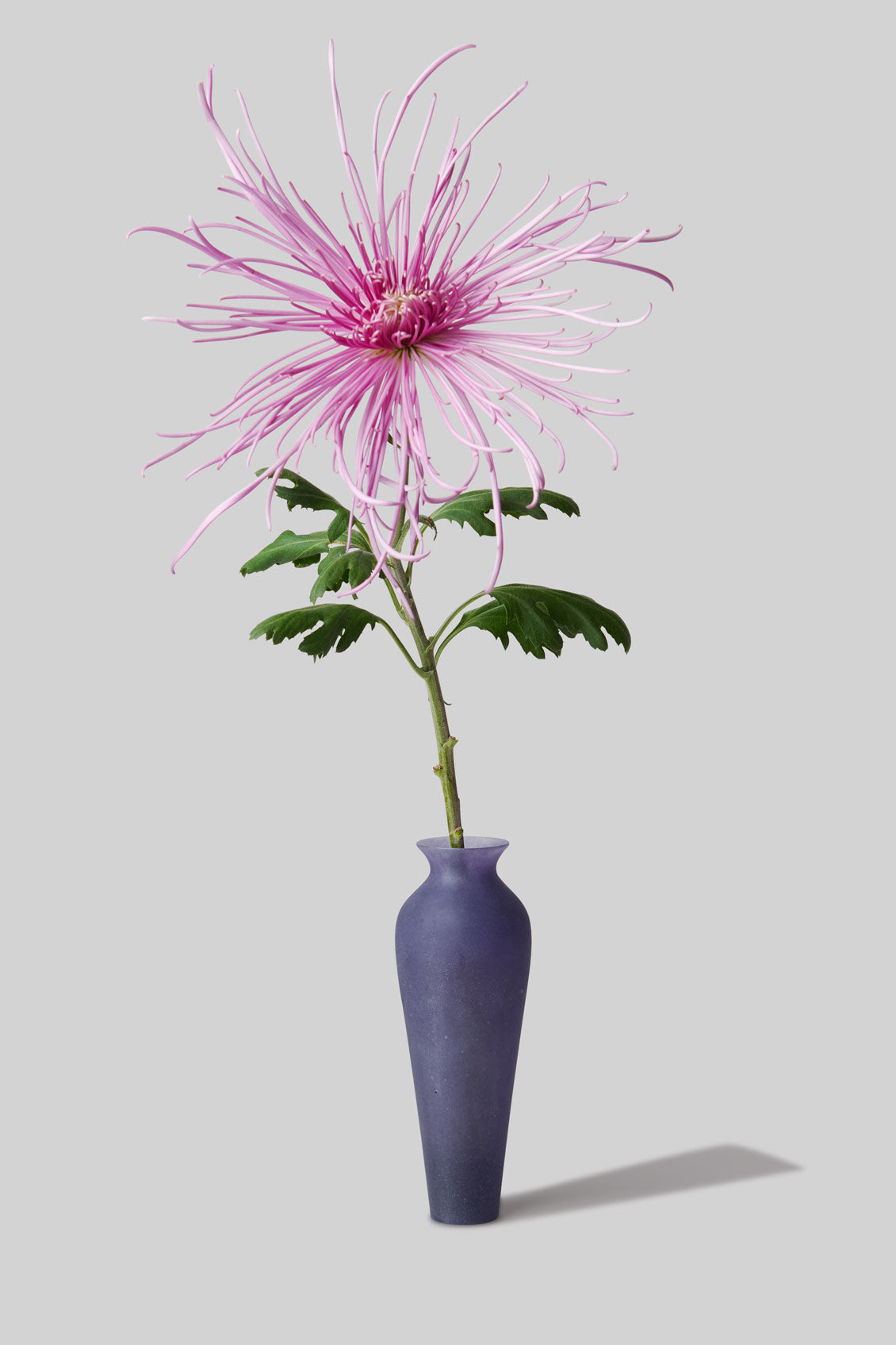 Pâte de Verre Glass Tall Vase - Violet Blue