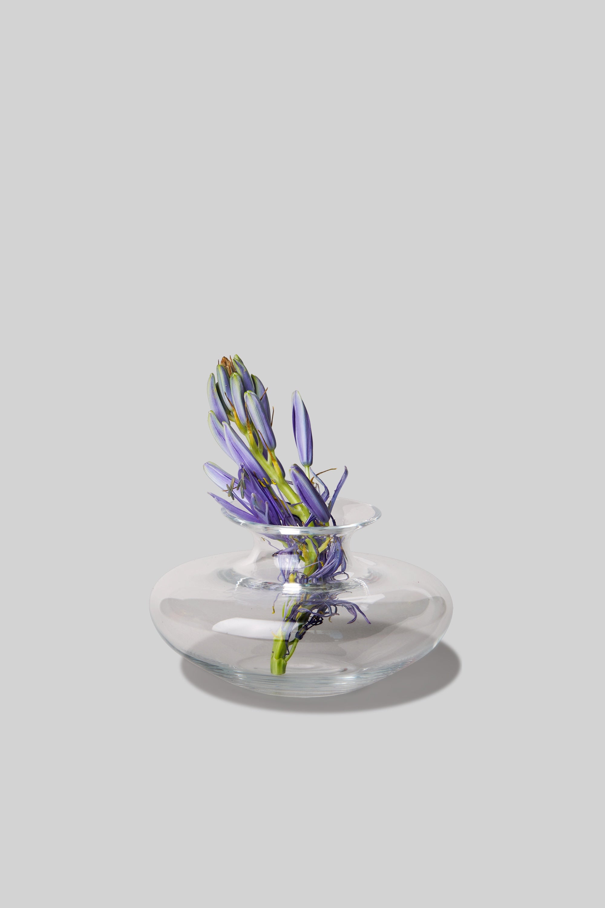 Oswald Haerdtl Crystal Flower Vase - Small