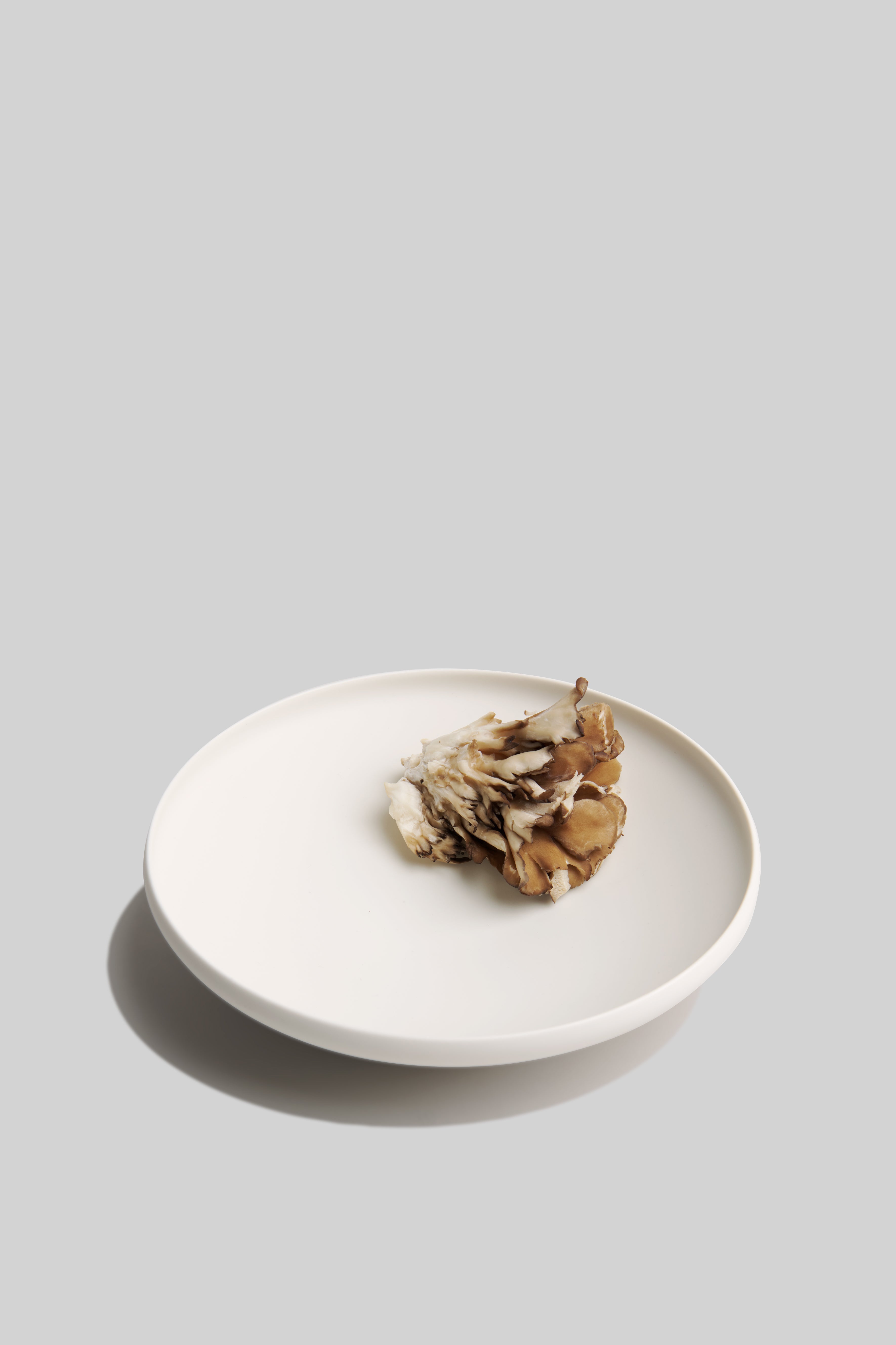 Ceramic Everyday Bowl