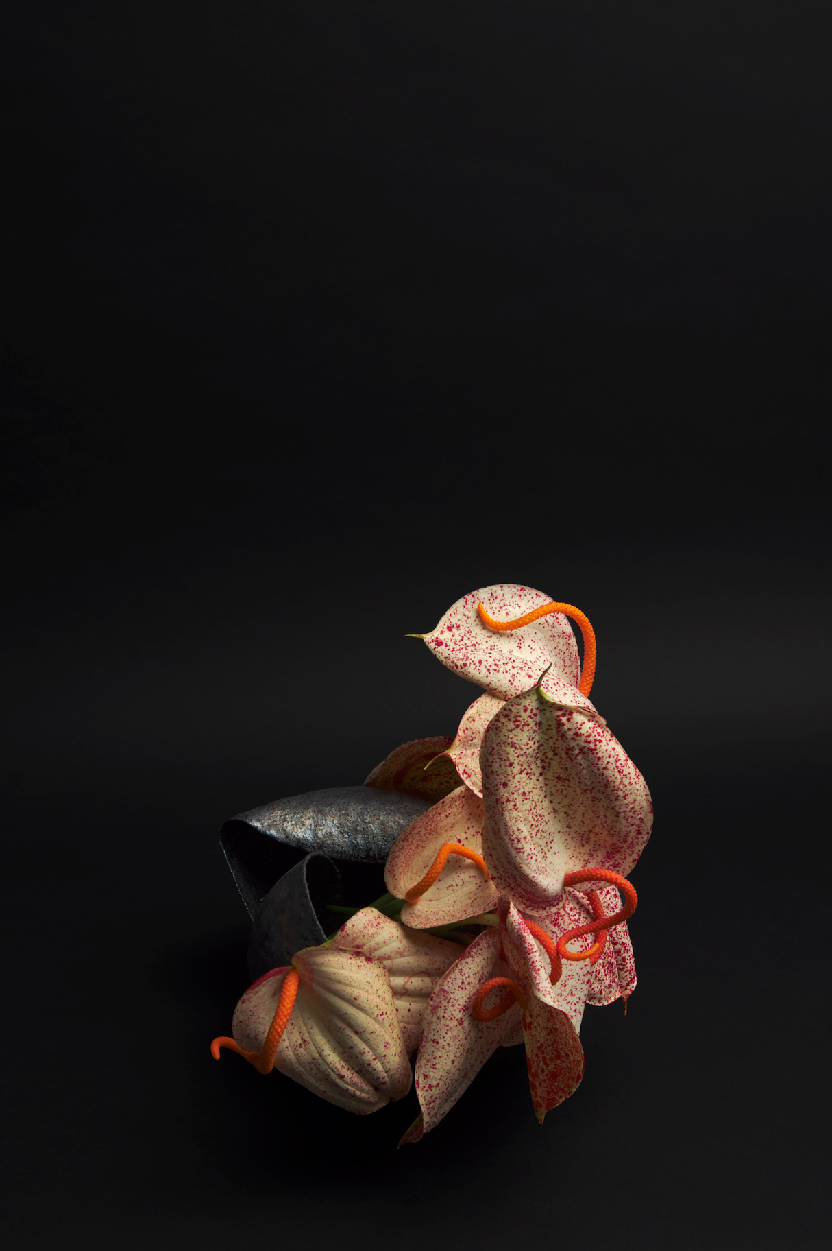 No.1 Seed Ceramic Vase — One of a Kind