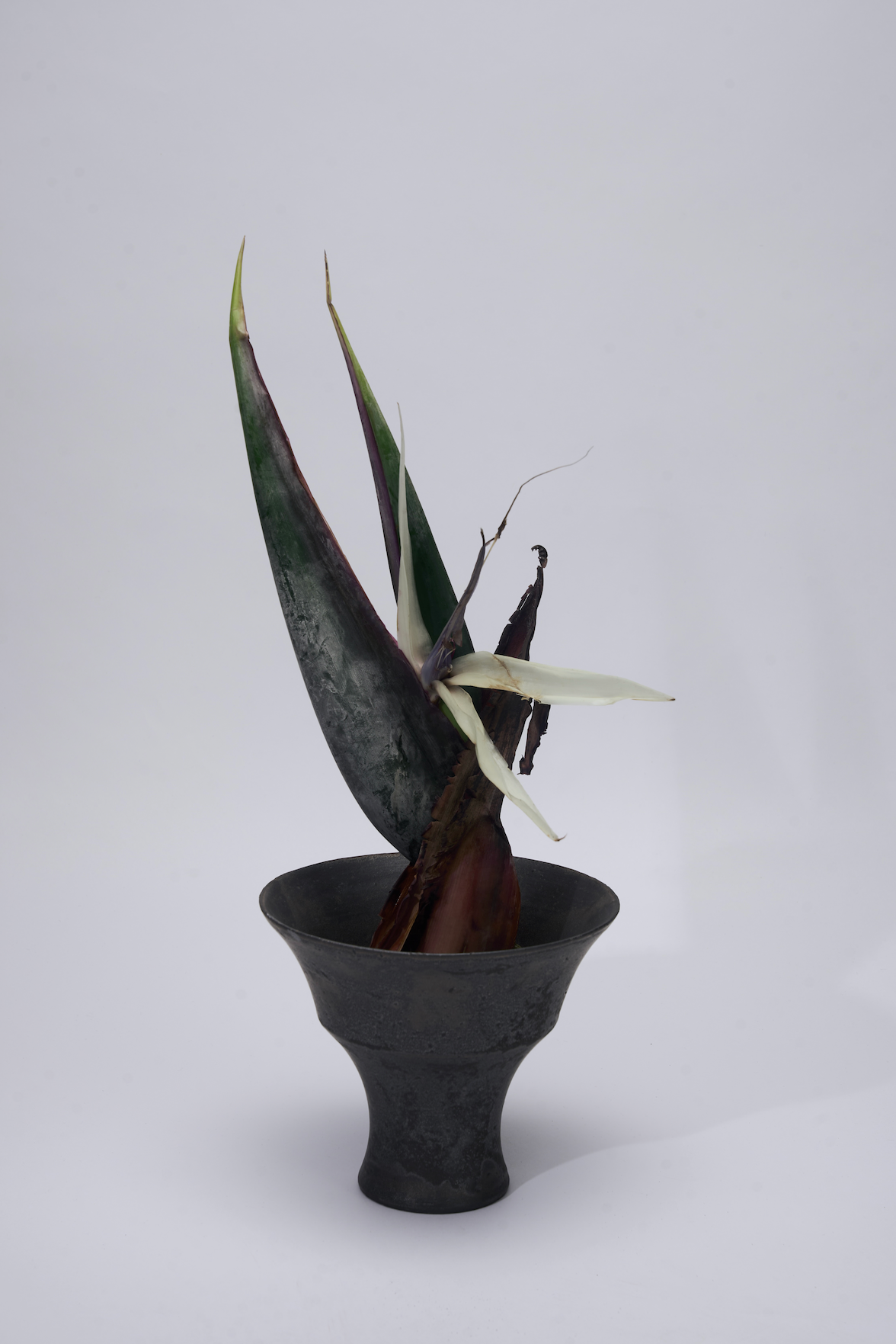 Metal Edge Ceramic Plant Pot