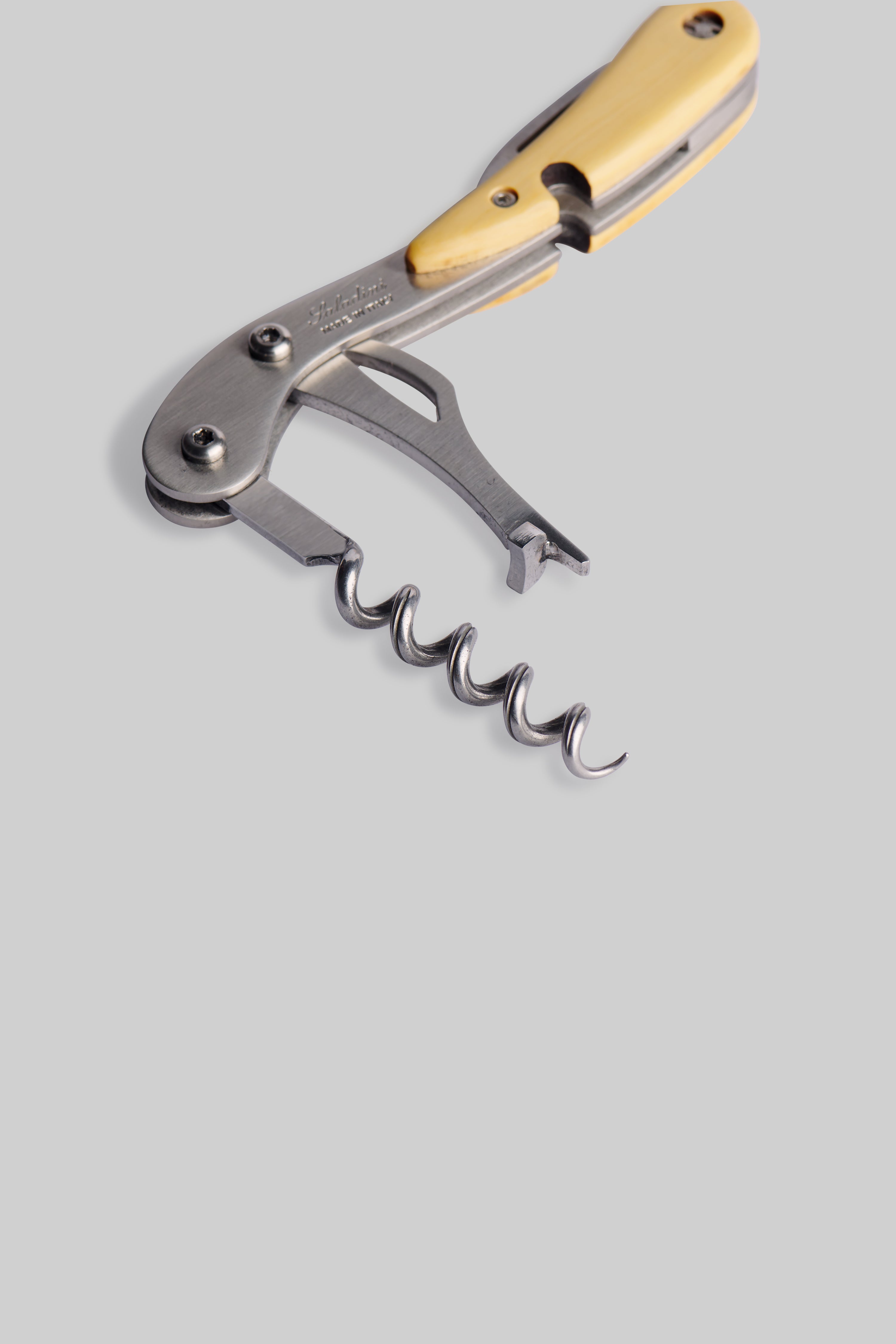 Boxwood Corkscrew