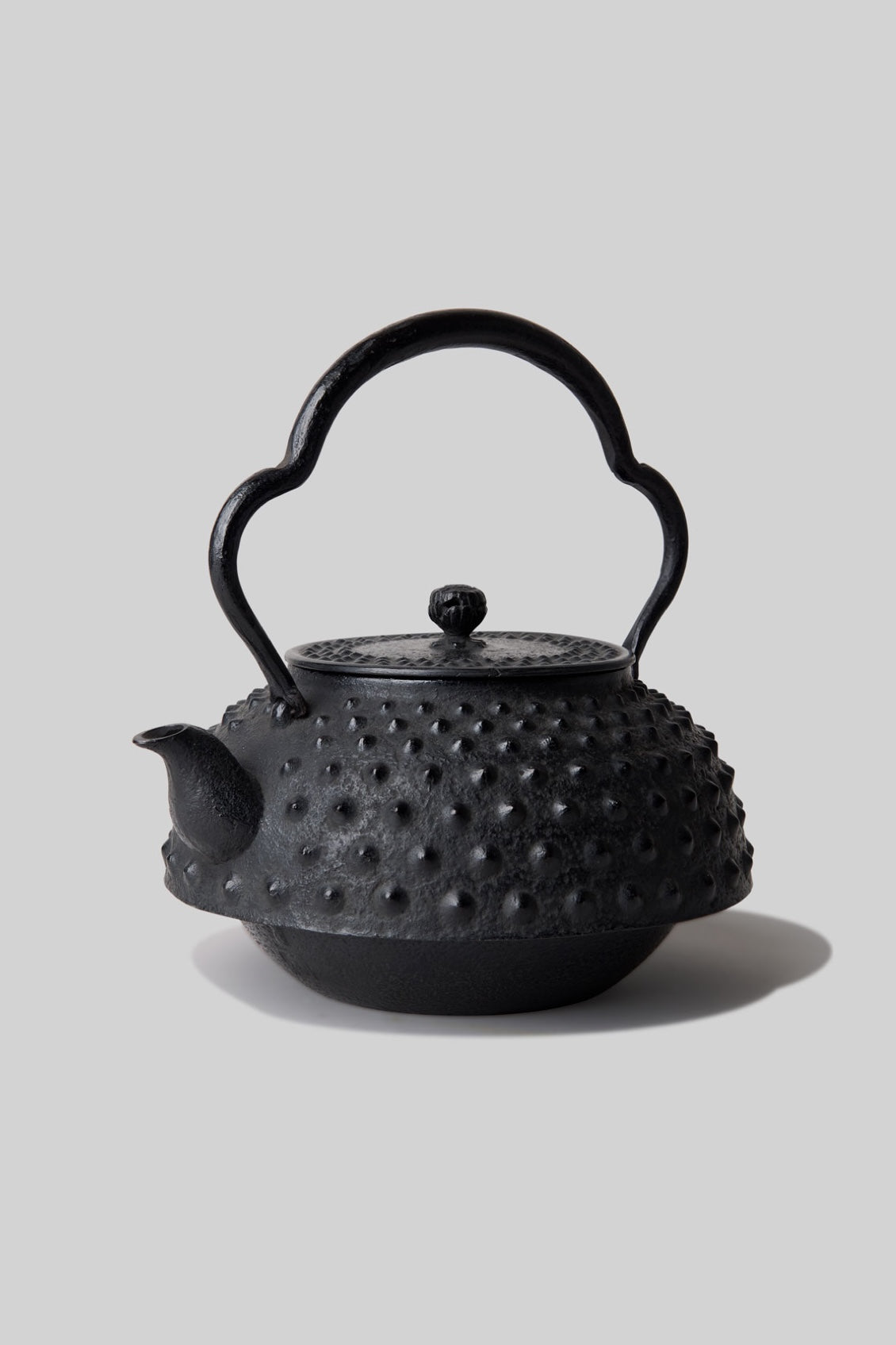 Oni Arare Tetsubin Cast Iron Teapot