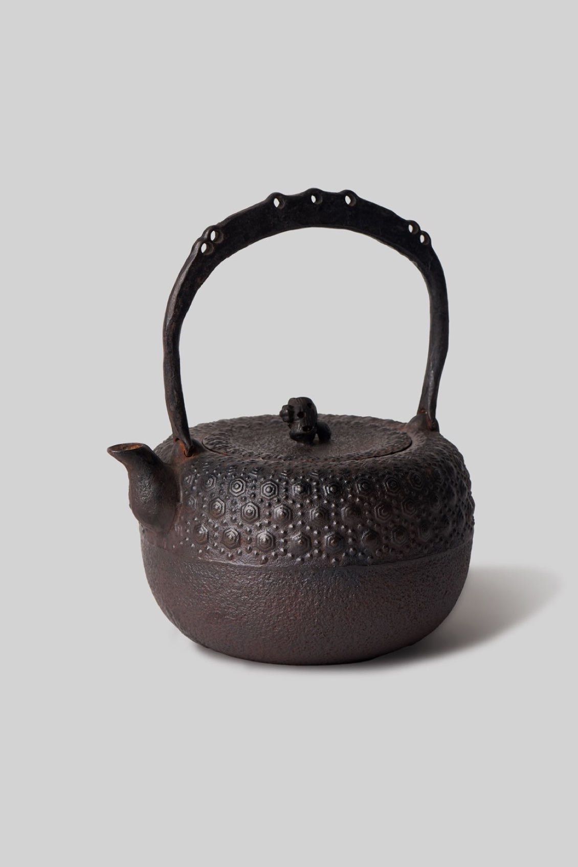 Kikko Arare Iwachu Tetsubin Cast Iron Teapot