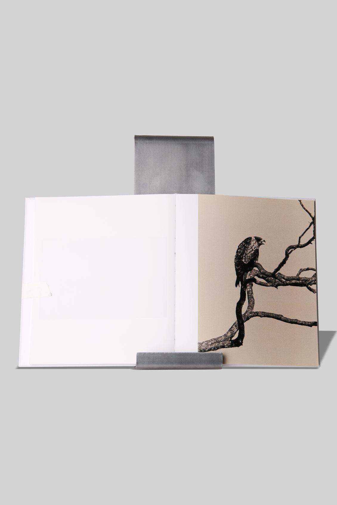 Yamamoto Masao - Signed