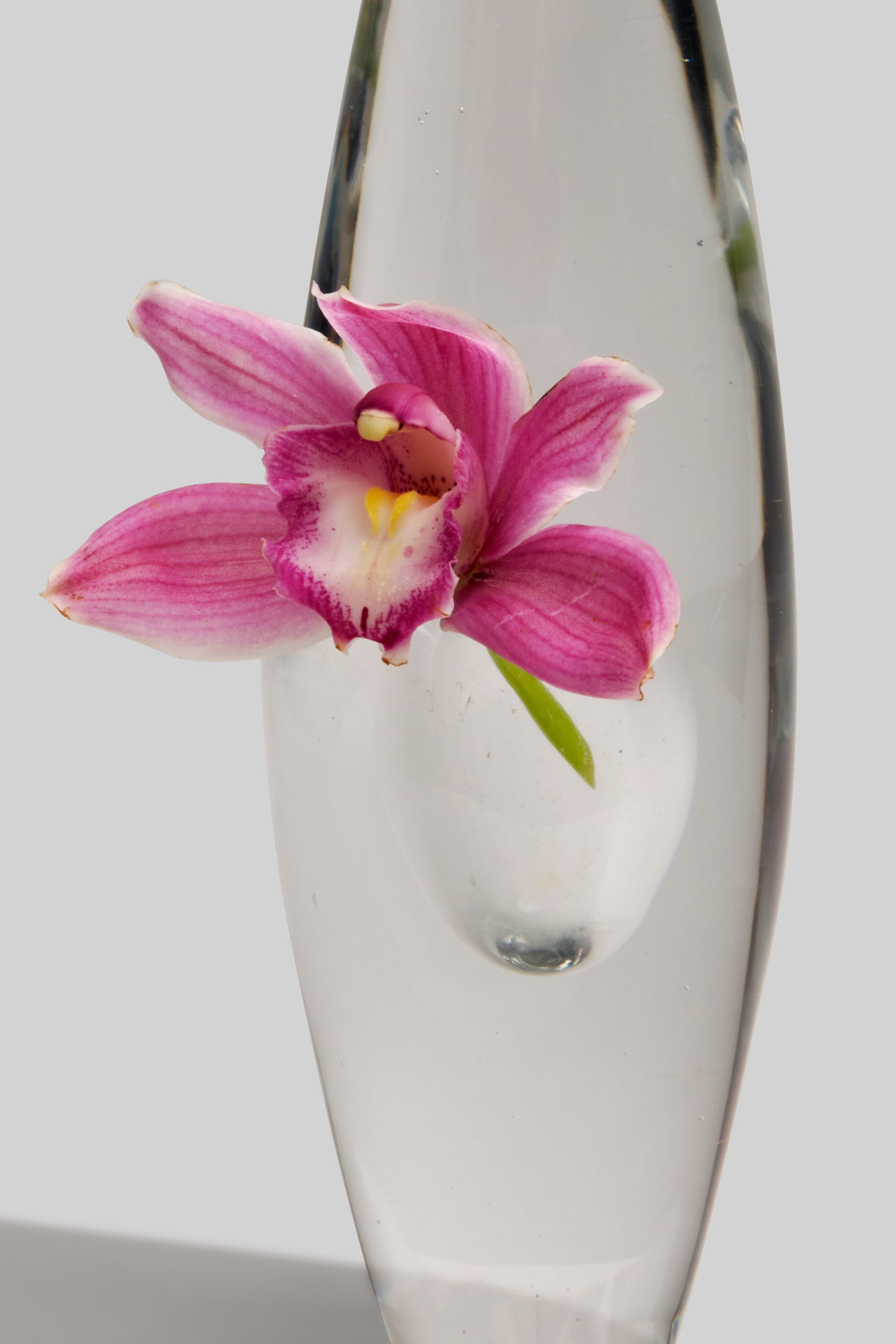 Timo Sarpaneva Orkidea Glass Vase