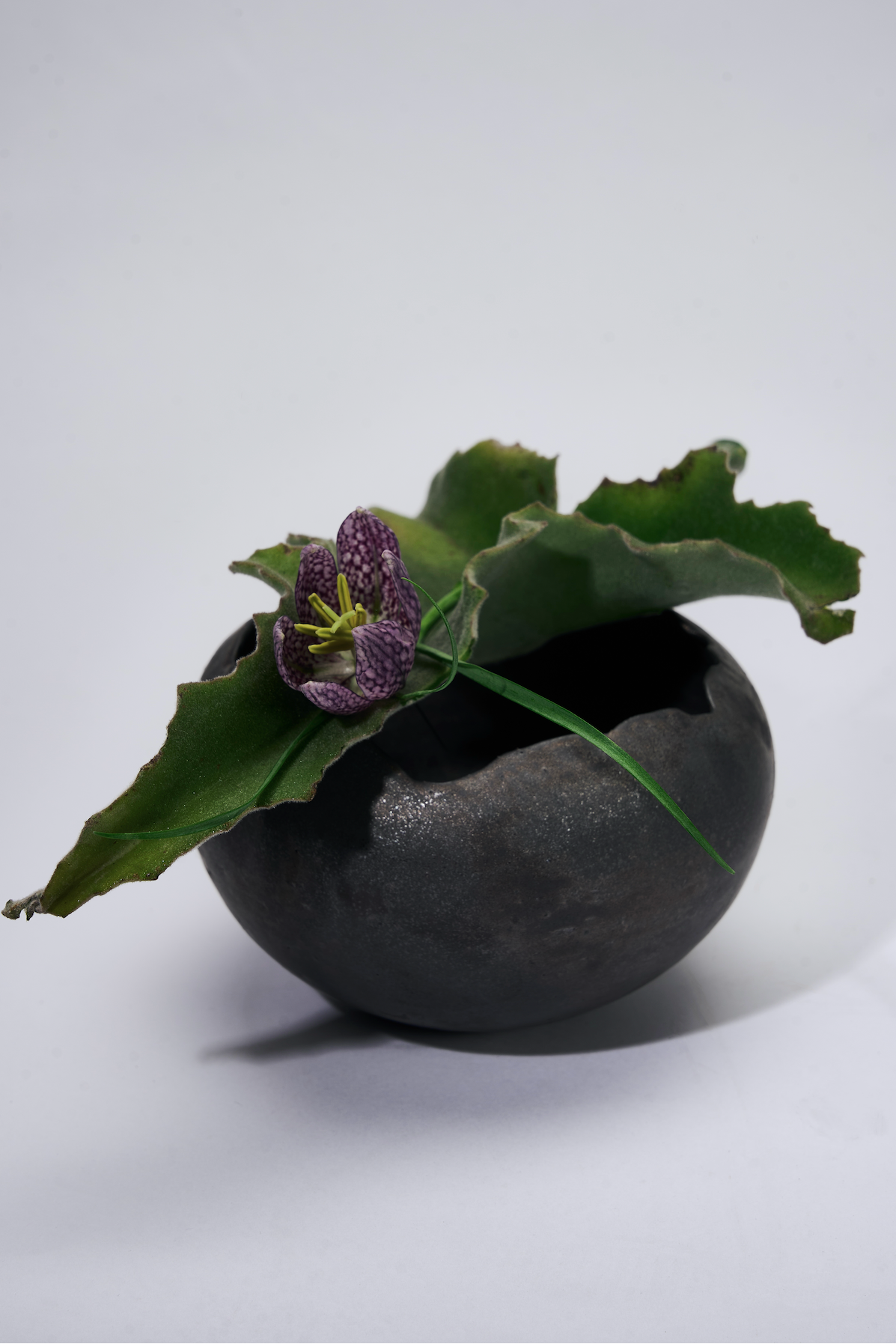 Metal Shell Ceramic Bowl