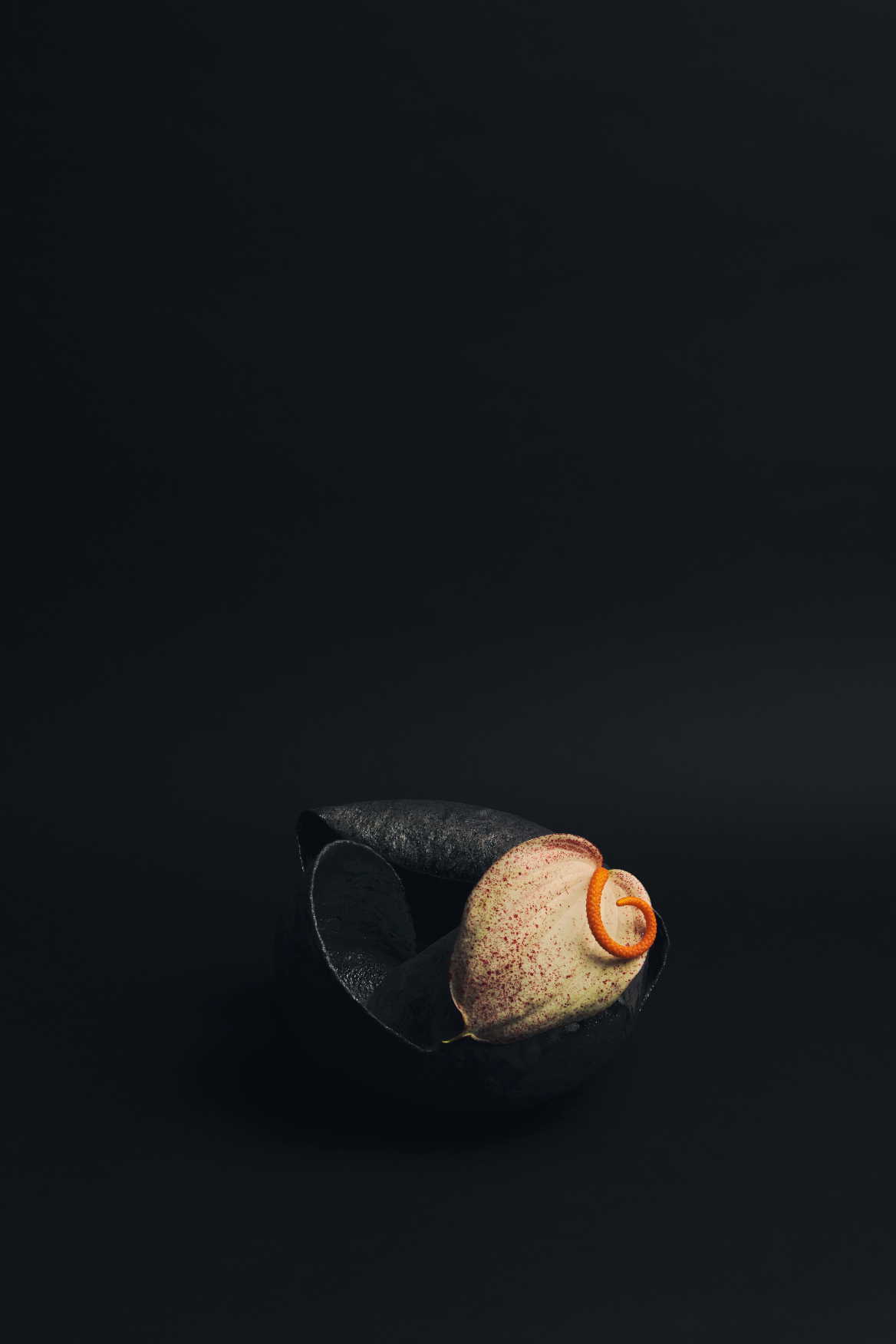 No.1 Seed Ceramic Vase — One of a Kind
